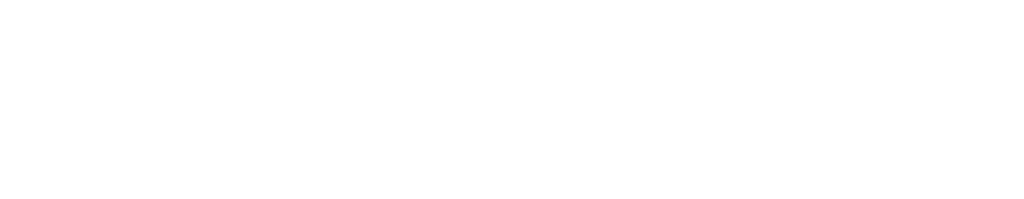 logo-polyverse-white_lang.png
